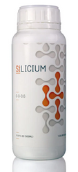 Silicium